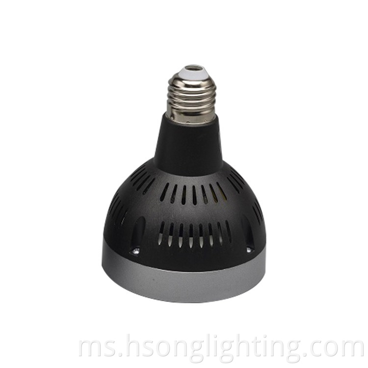 PAR30 LED mentol 30W LED lampu lampu aluminium dalaman